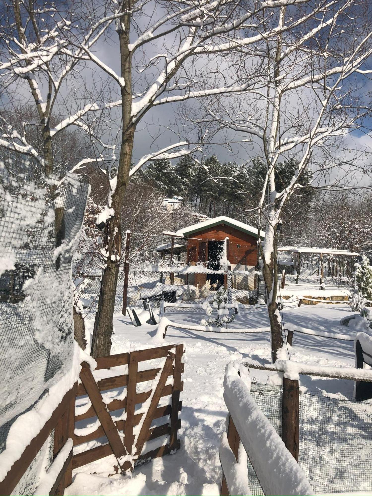 Kerpe Diem Otel エクステリア 写真