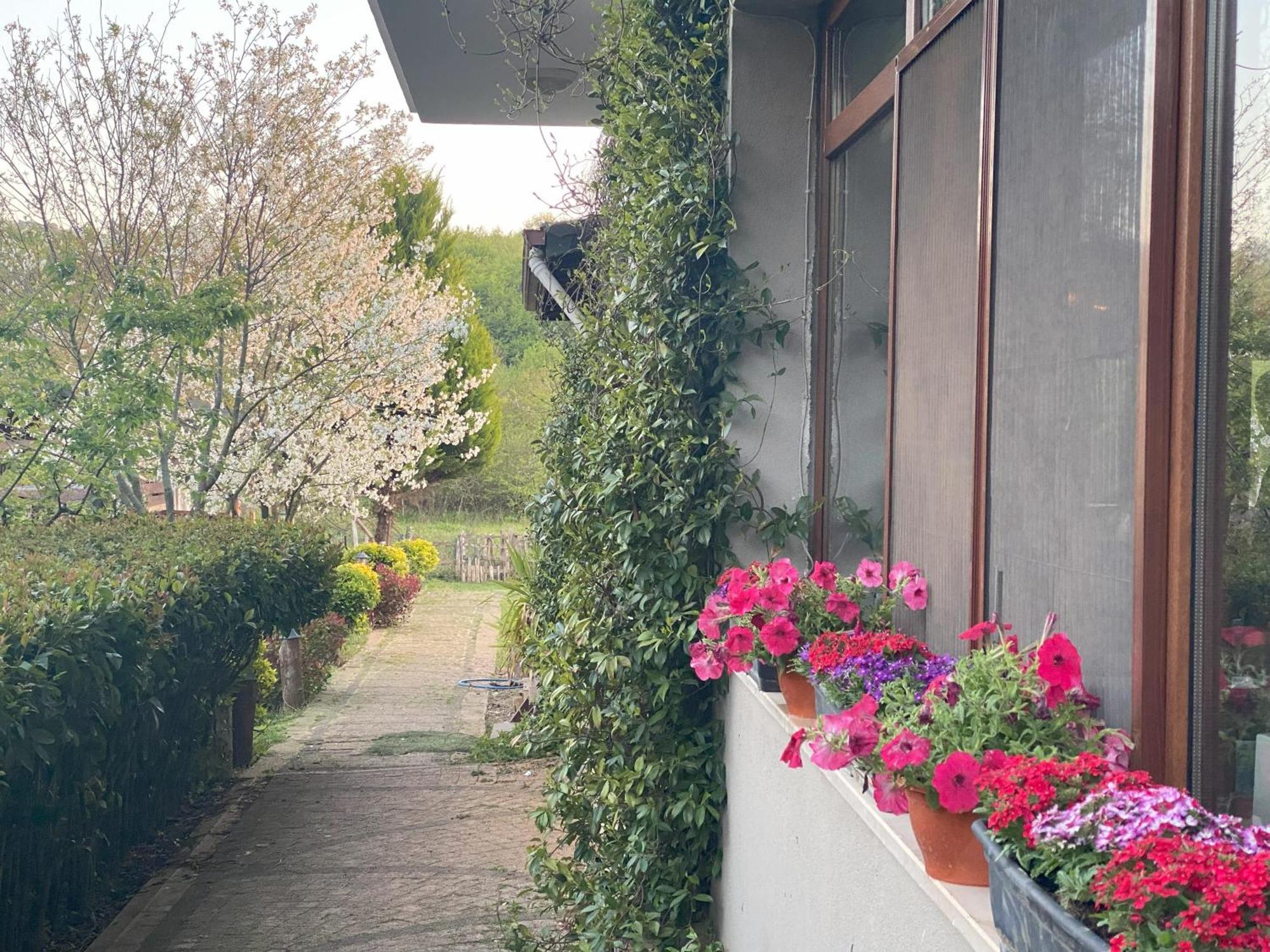 Kerpe Diem Otel エクステリア 写真
