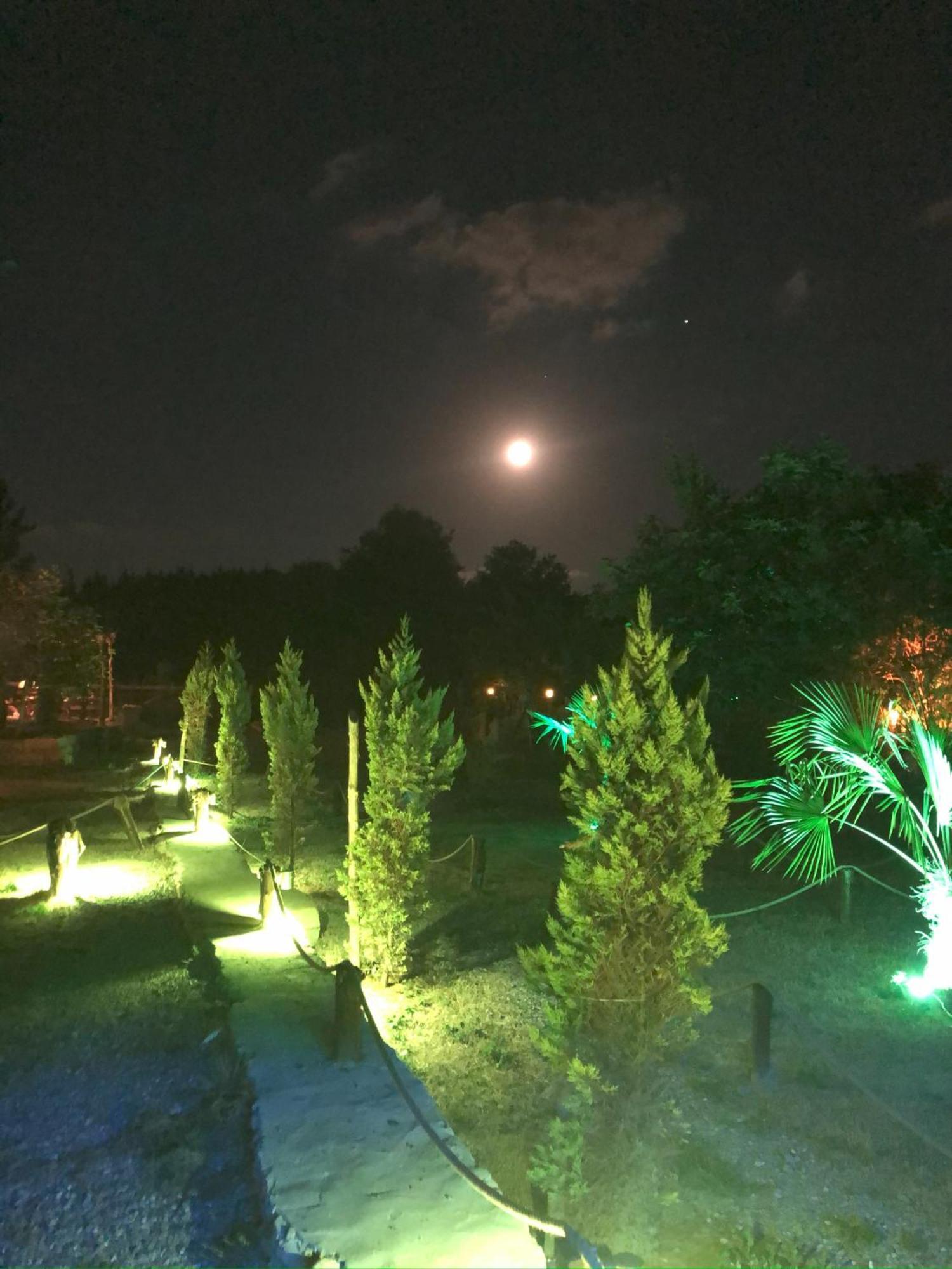 Kerpe Diem Otel エクステリア 写真