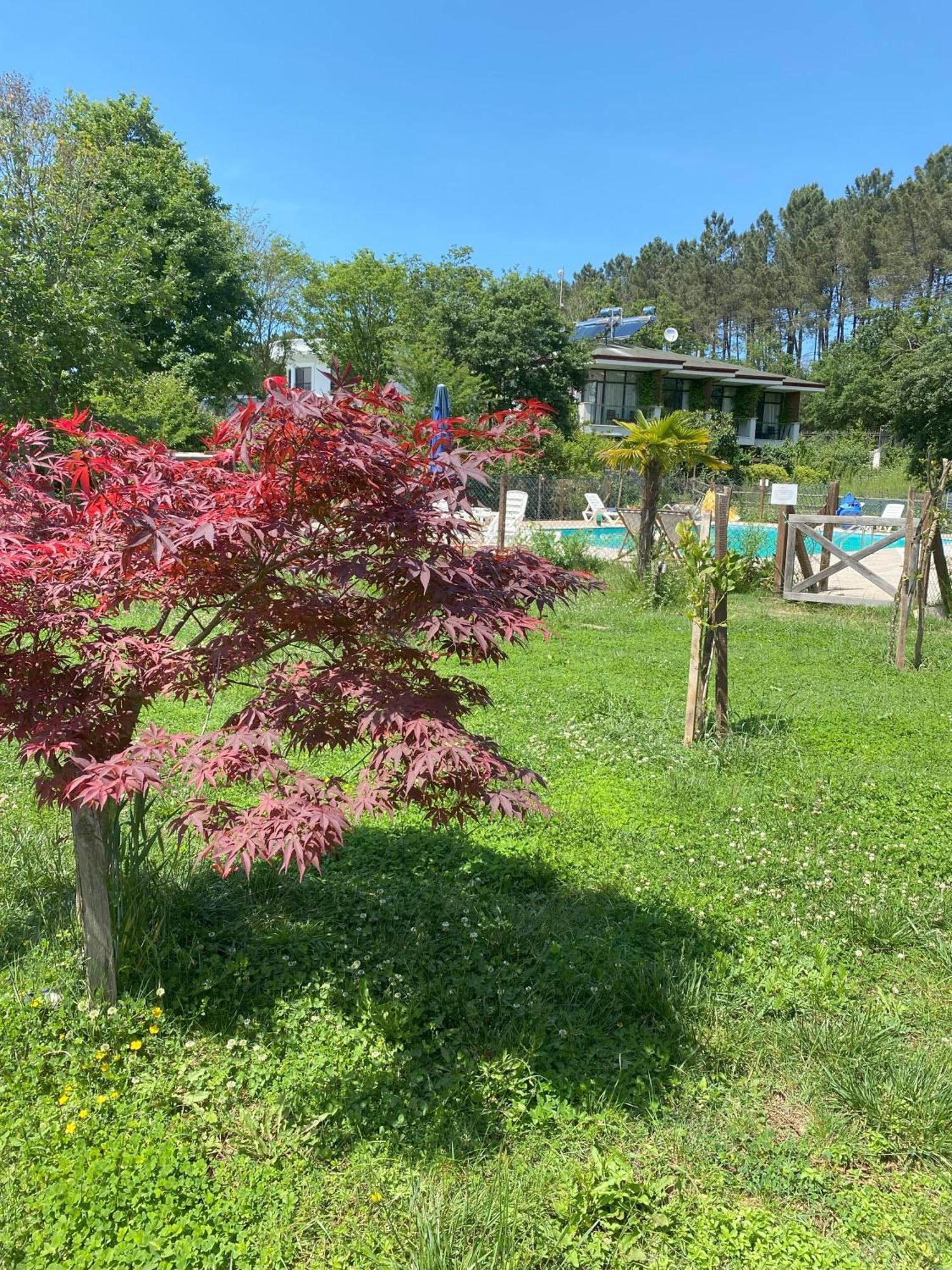 Kerpe Diem Otel エクステリア 写真